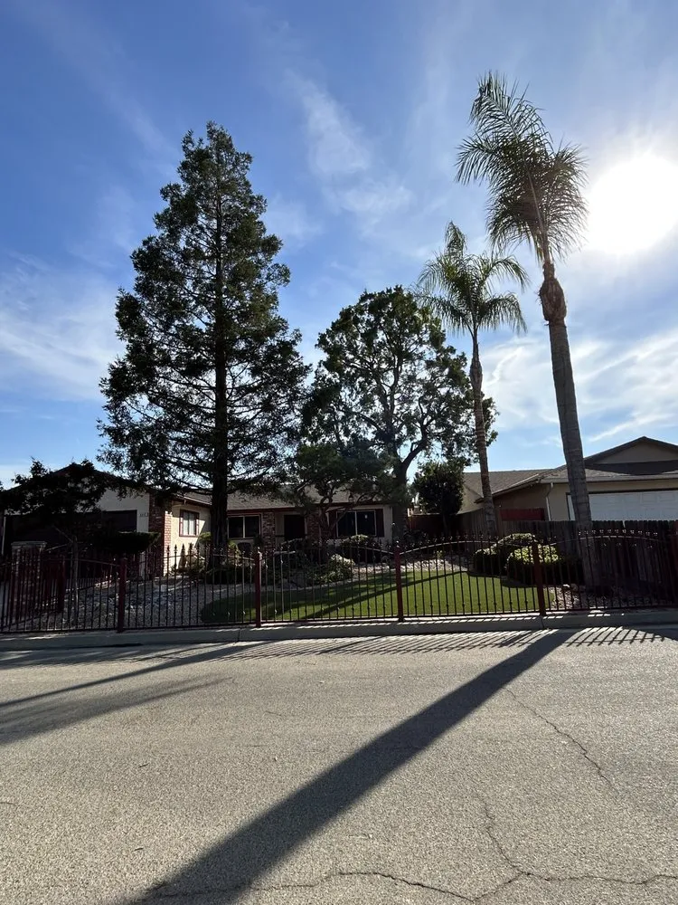 Reliable yard cleanup service for homes in Fresno, CA by Gr8t Tree Service