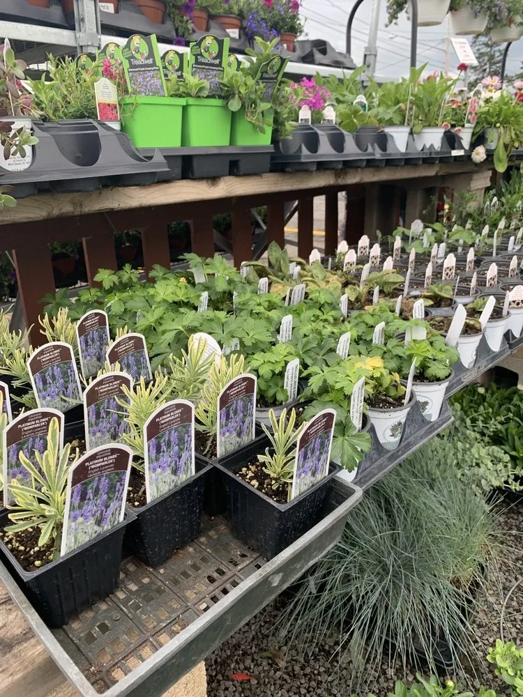 Professional residential landscaping experts serving Cheektowaga, NY - Grabber & Sons Landscaping and Nursery