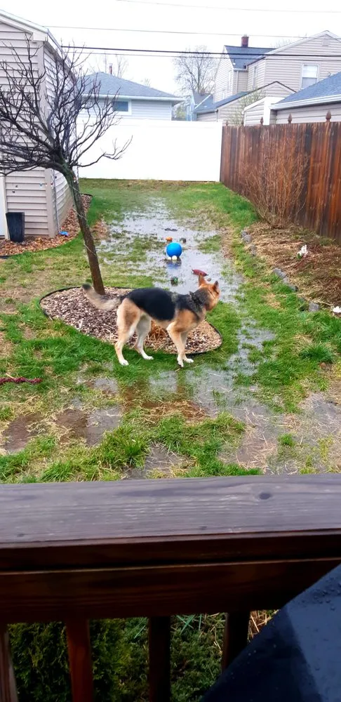 Affordable landscape installation in Cheektowaga, NY by Grabber & Sons Landscaping and Nursery