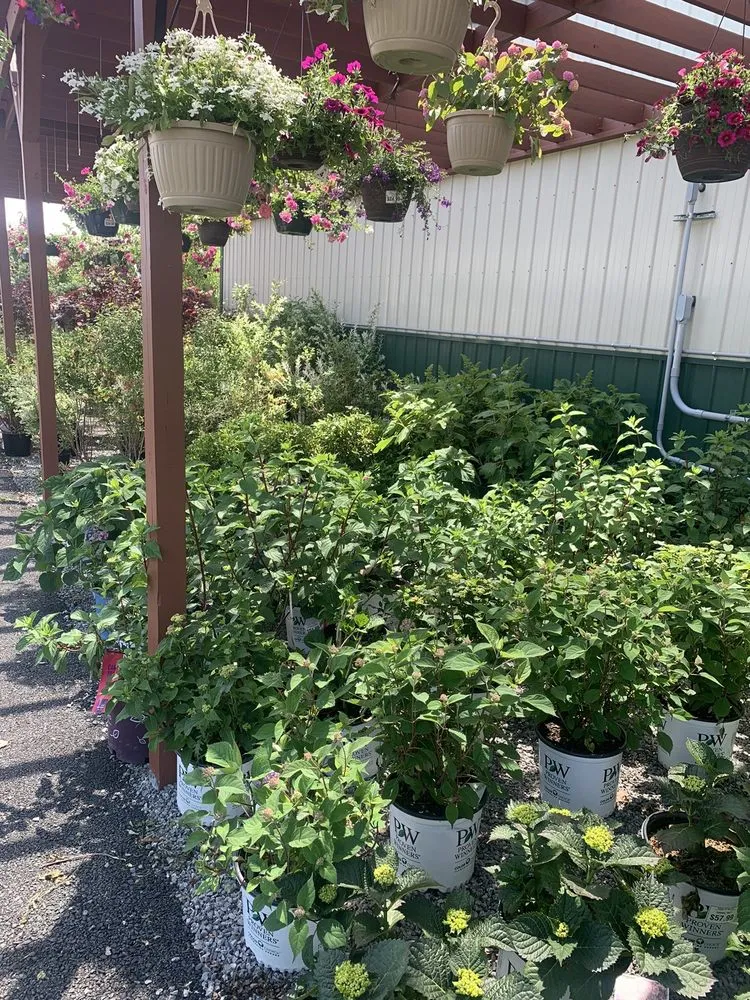 Reliable landscaping services in Cheektowaga, NY - Grabber & Sons Landscaping and Nursery