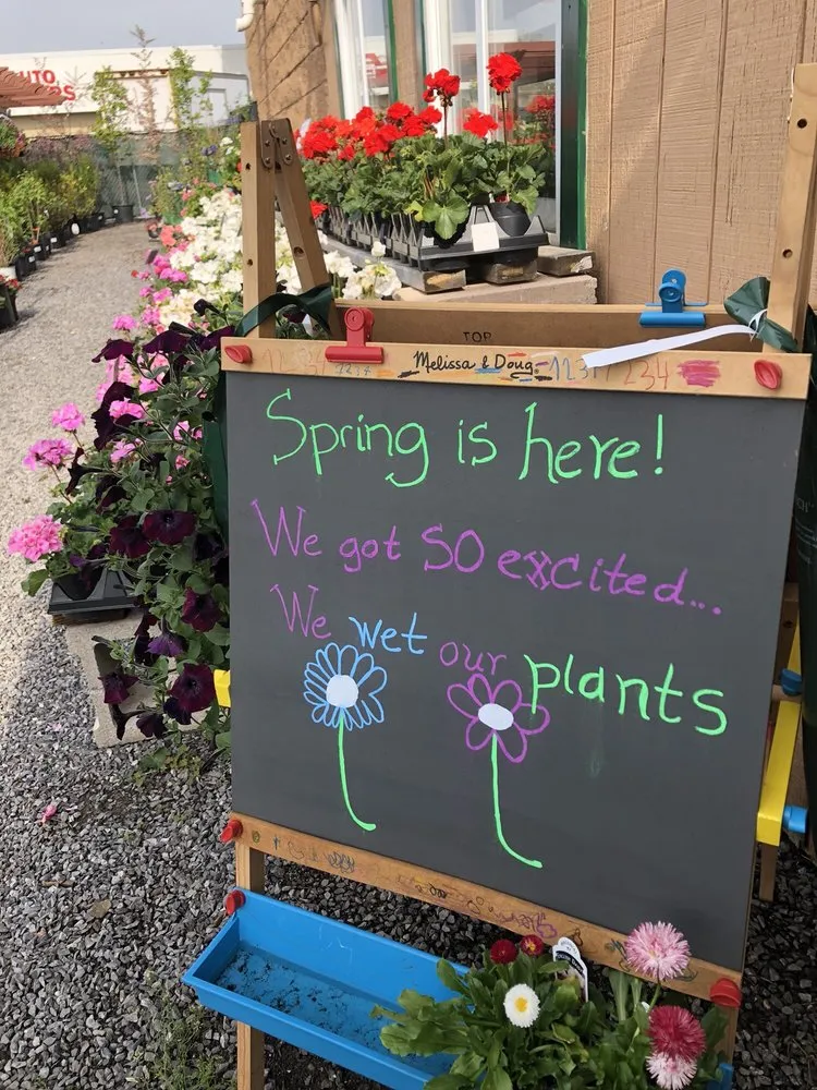 Top-rated landscaping services experts serving Cheektowaga, NY - Grabber & Sons Landscaping and Nursery