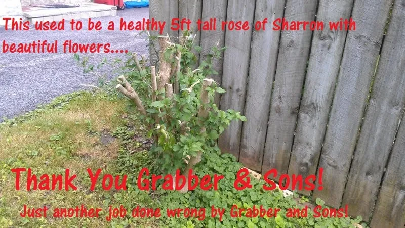 Custom lawn mowing service for beautiful yards across Cheektowaga, NY - Grabber & Sons Landscaping and Nursery