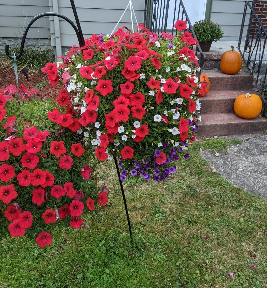 Local yard cleanup service for residential properties across Cheektowaga, NY - Grabber & Sons Landscaping and Nursery