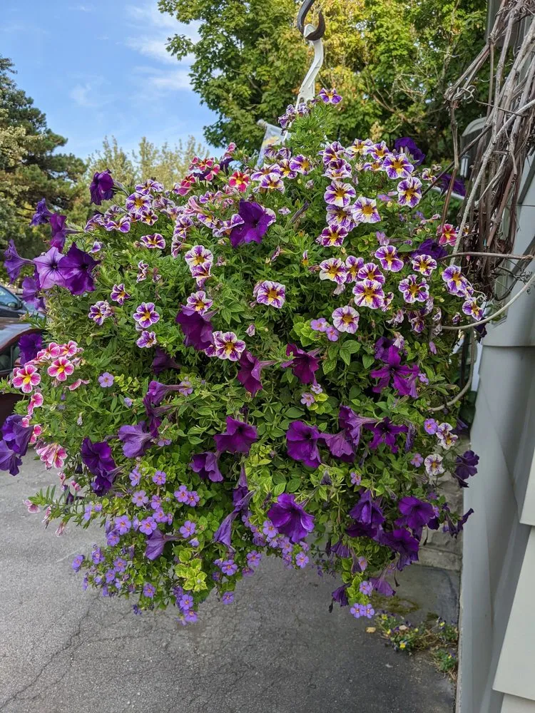 Custom landscaping services in Cheektowaga, NY - Grabber & Sons Landscaping and Nursery