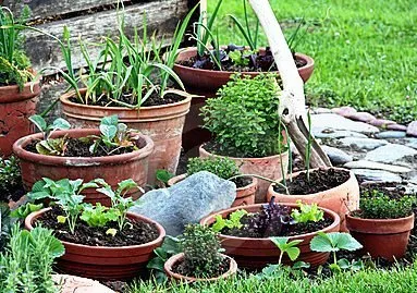 Grabber & Sons Landscaping and Nursery