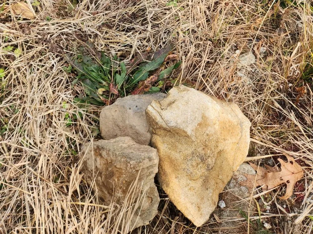 Professional outdoor landscaping in Waynesville, NC by Grace & Grit Dirtworks