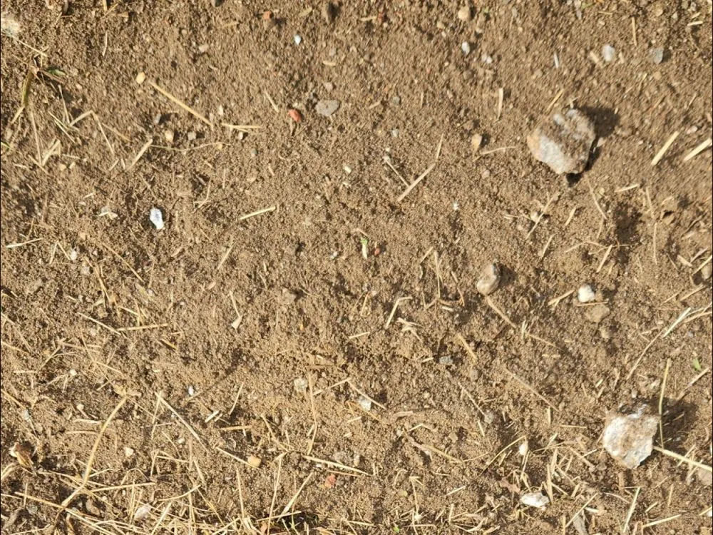 Affordable outdoor landscaping in Waynesville, NC - Grace & Grit Dirtworks