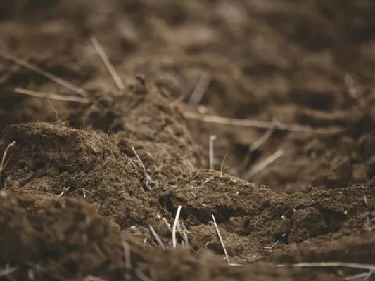 Grace & Grit Dirtworks Logo