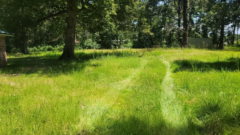 Expert lawn mowing service in Cleveland, TX by Grace and Greens