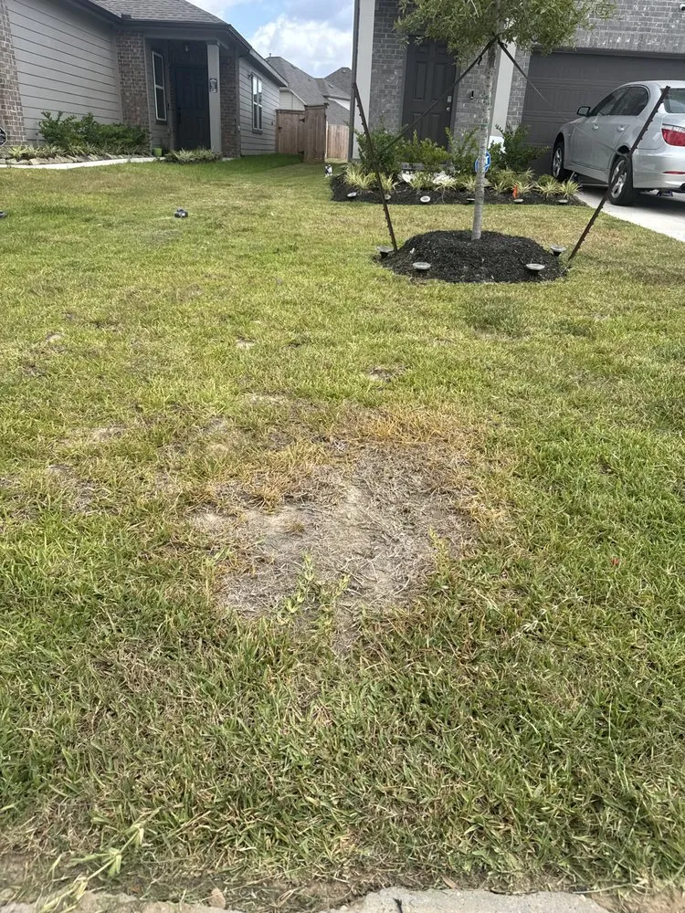 Top-rated yard cleanup service for outdoor upgrades across Cleveland, TX - Grace and Greens