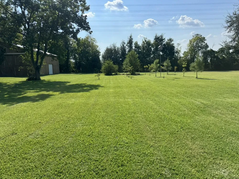 Local garden landscaping for beautiful yards in Cleveland, TX by Grace and Greens