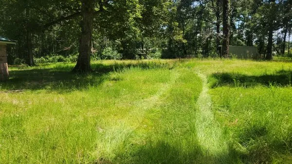 Grace and Greens Logo