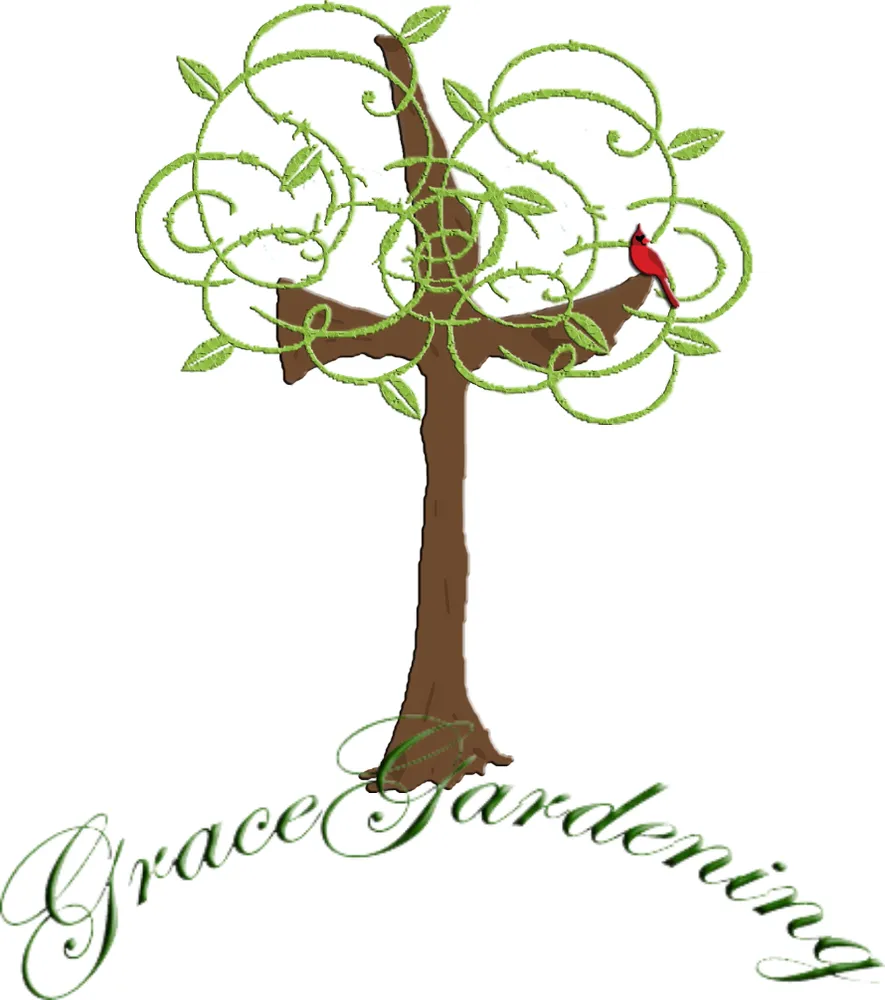 Custom lawn mowing service in Round Rock, TX by Grace Garden Designs
