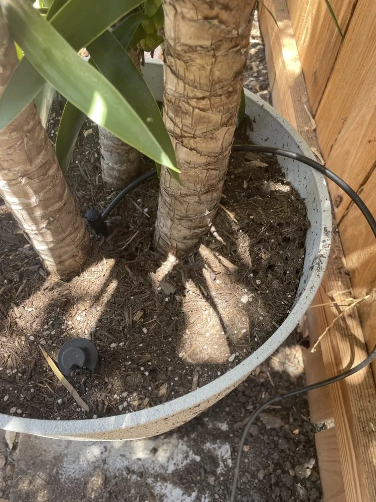 Reliable outdoor landscaping in Austin, TX - Grace Irrigation & Landscape