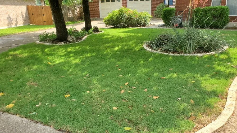 Local yard maintenance in Austin, TX by Grace Irrigation & Landscape