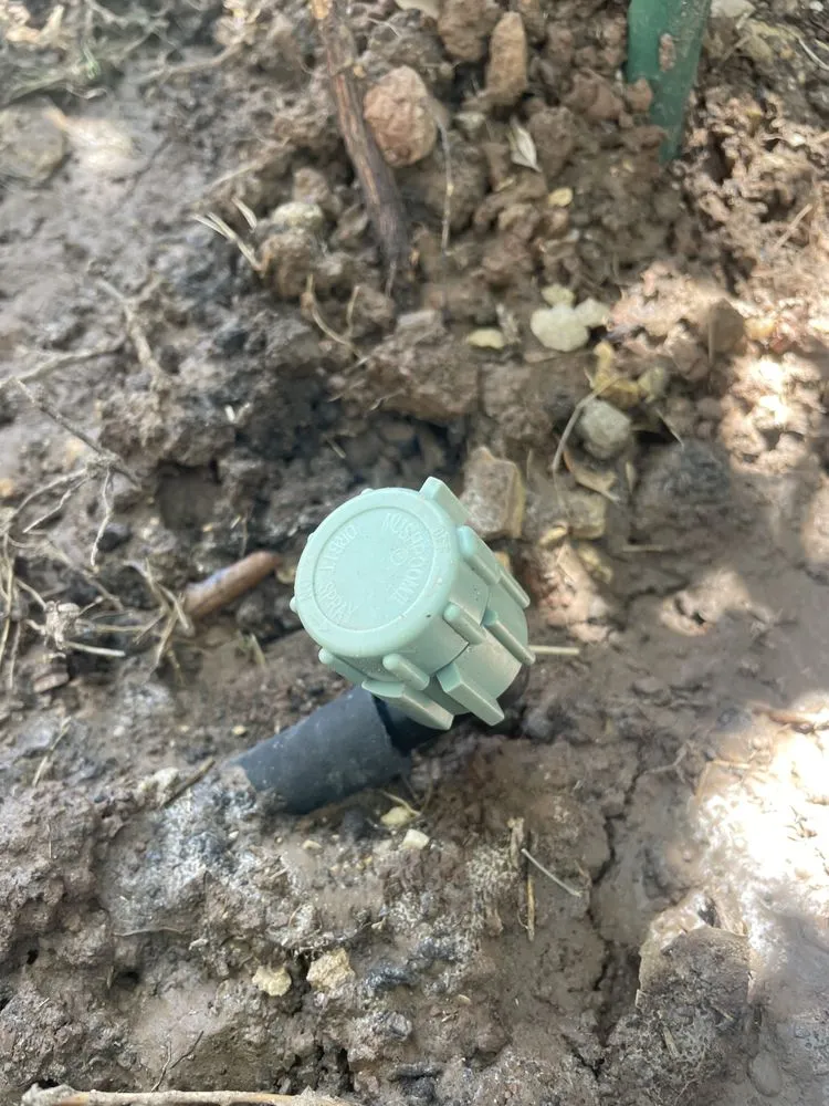 Affordable landscaping services experts serving Austin, TX - Grace Irrigation & Landscape