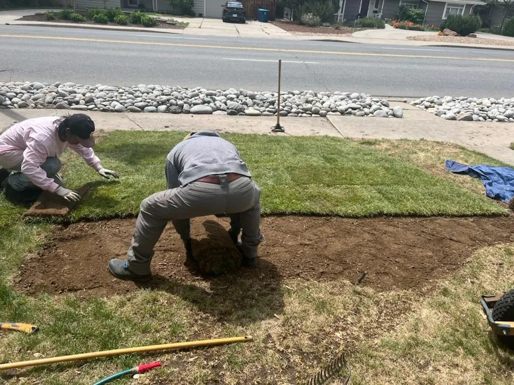 Affordable yard maintenance in Denver, CO by Grace landscape colorado