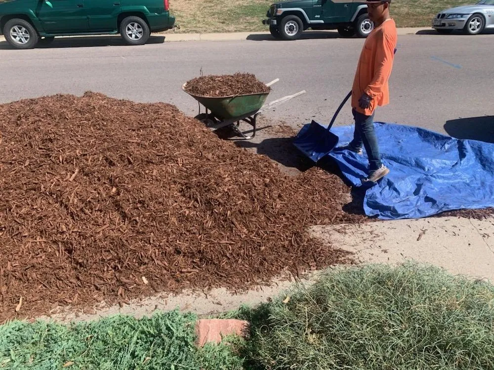 Local outdoor landscaping experts serving Denver, CO - Grace landscape colorado