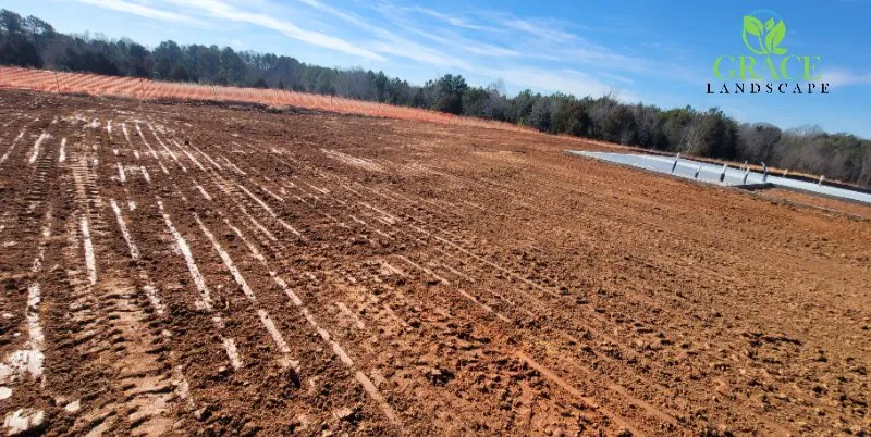 Custom outdoor landscaping in Raleigh, NC - Grace Landscape