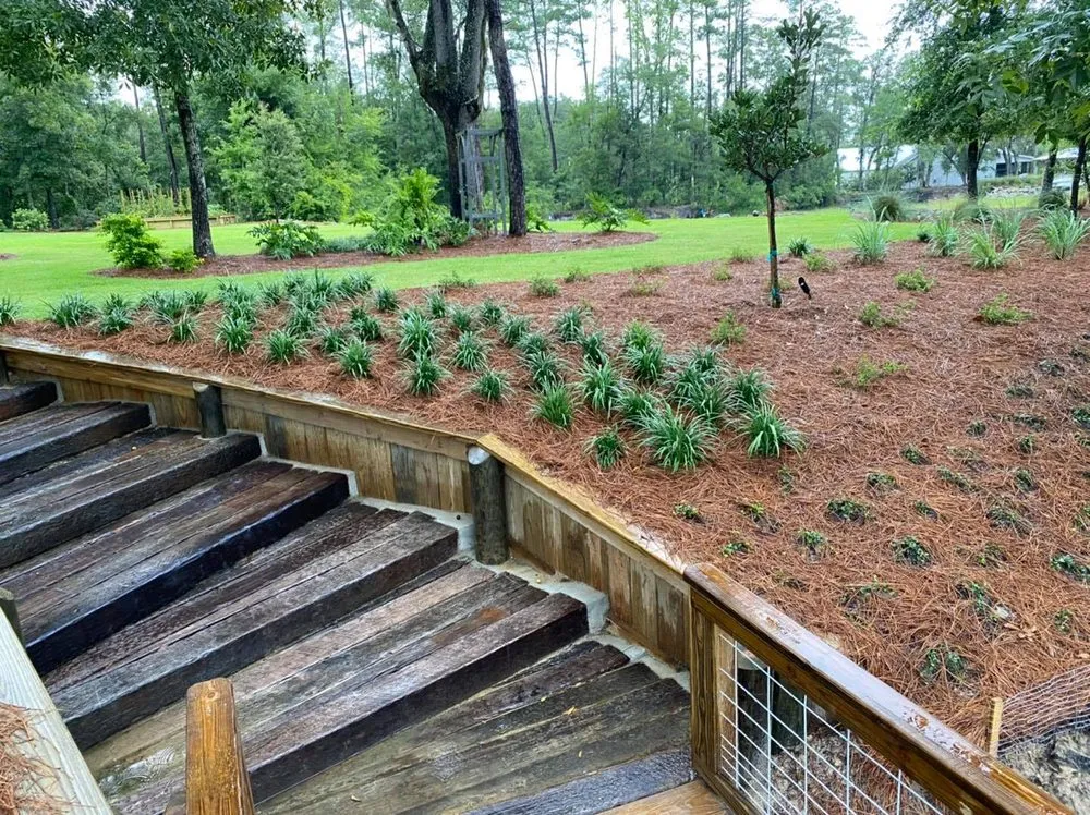 Top-rated lawn care service in Brunswick, GA by Grace Landscaping & Irrigation