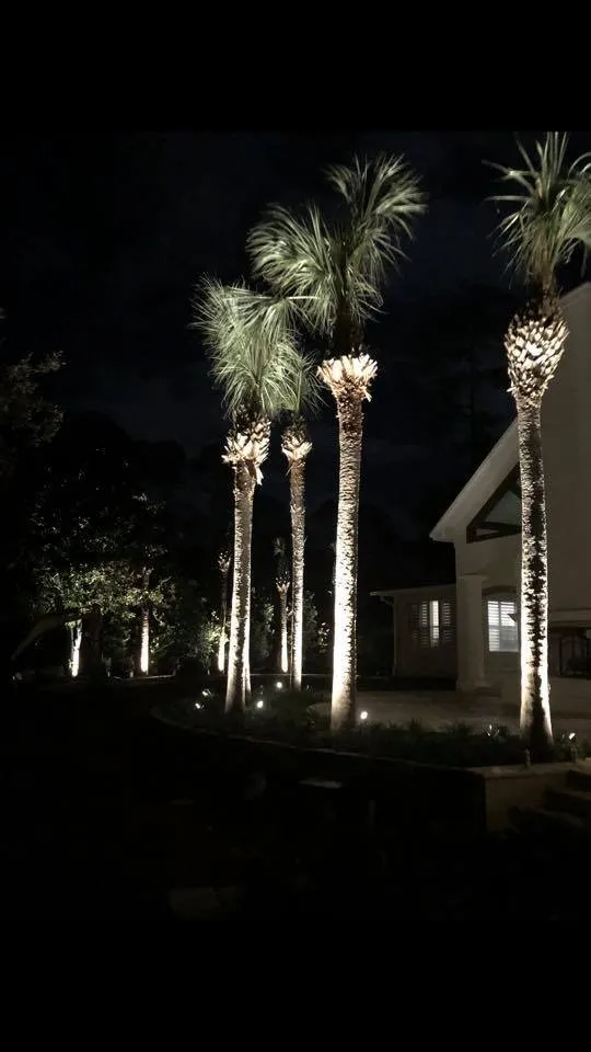 Custom residential landscaping for outdoor upgrades in Brunswick, GA by Grace Landscaping & Irrigation