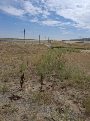 Grace Landscaping and Maintenance Logo