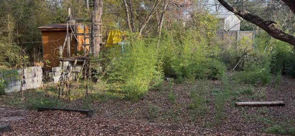 Expert landscaping services experts serving Austin, TX - Grace Landscaping and Tree Service