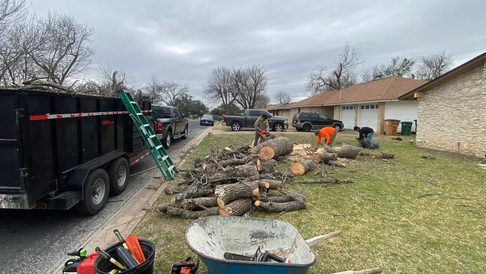 Top-rated lawn care service in Austin, TX by Grace Landscaping and Tree Service