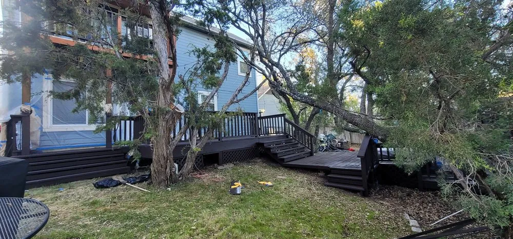 Top-rated garden landscaping experts serving Austin, TX - Grace Landscaping and Tree Service