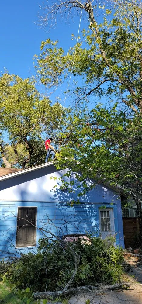 Custom landscape installation for beautiful yards across Austin, TX - Grace Landscaping and Tree Service