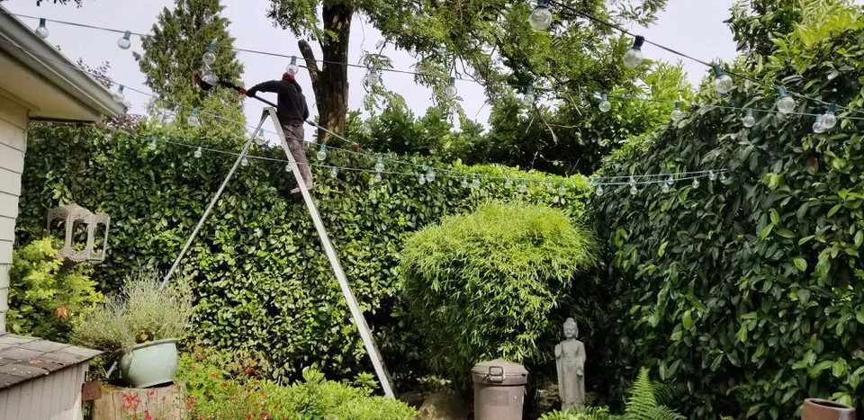 Trusted yard cleanup service experts serving Fairview, OR - Grace Landscaping