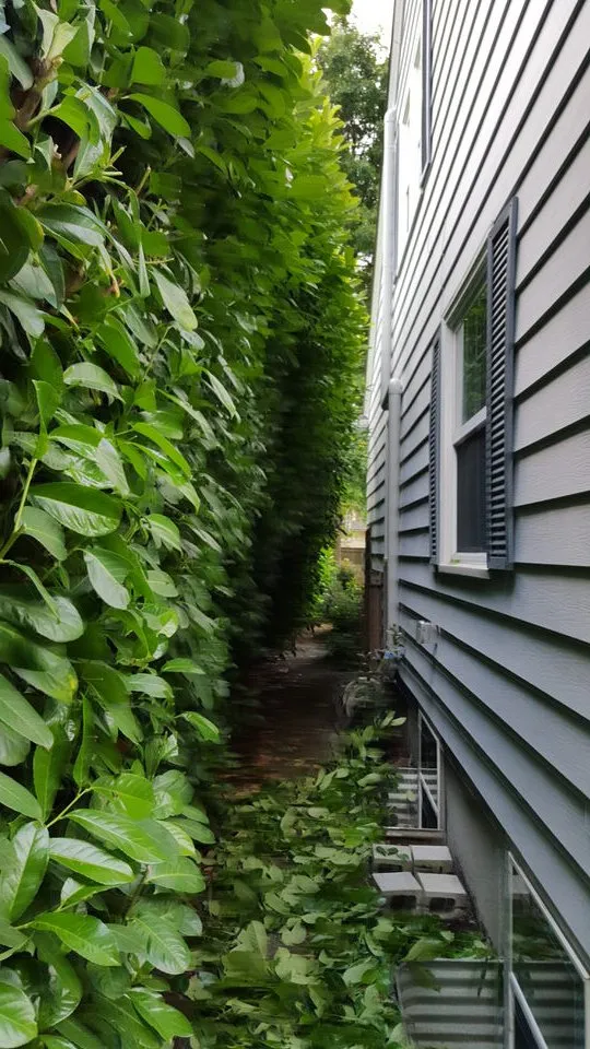 Reliable landscape installation experts serving Fairview, OR - Grace Landscaping