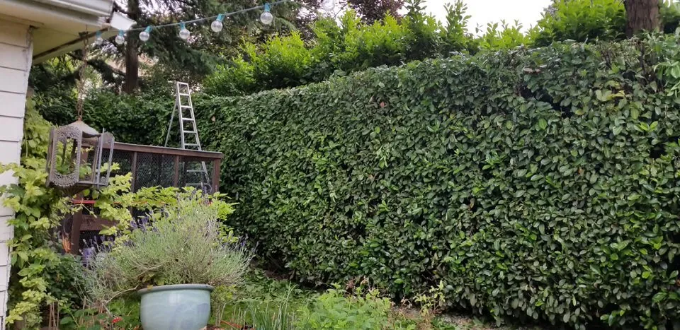 Local outdoor landscaping in Fairview, OR by Grace Landscaping