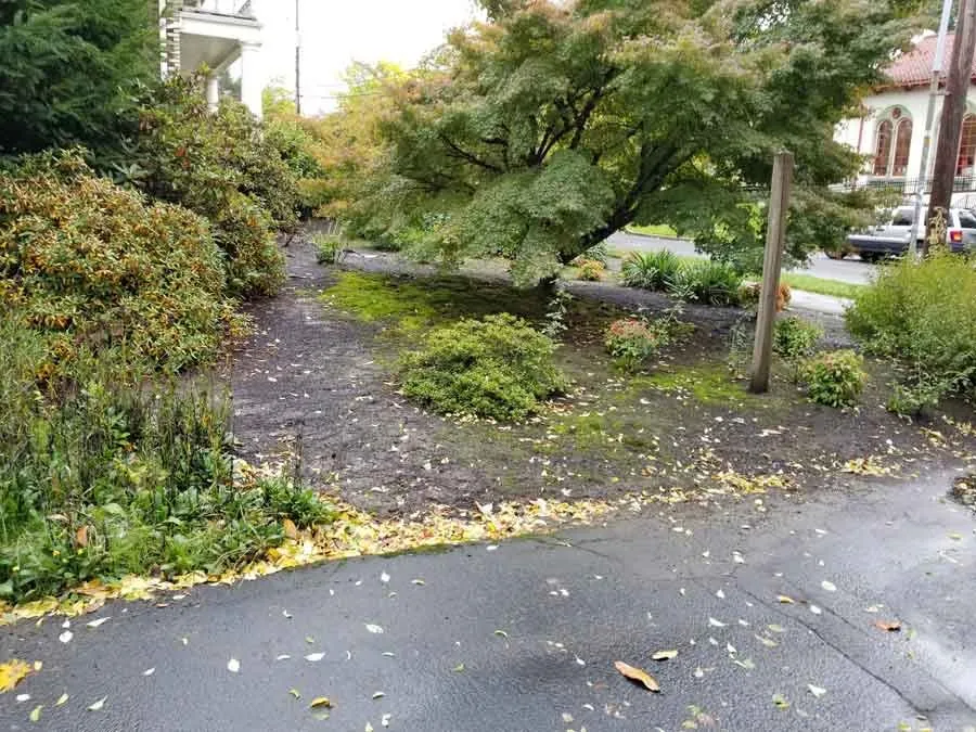 Professional garden landscaping for outdoor upgrades in Fairview, OR by Grace Landscaping