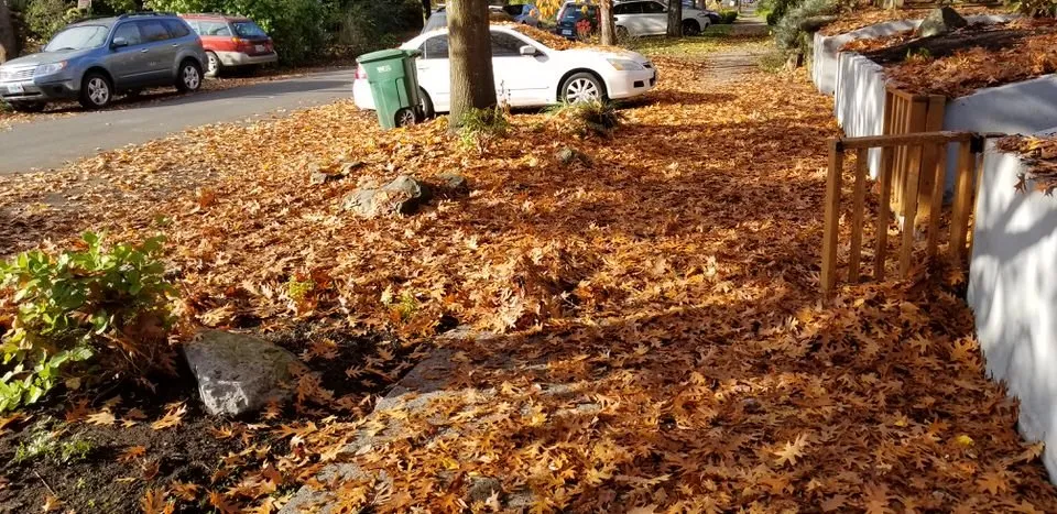 Affordable lawn mowing service with custom design in Fairview, OR by Grace Landscaping