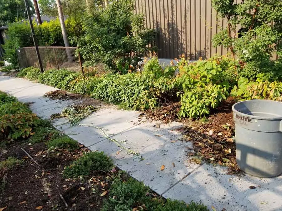 Affordable yard cleanup service in Fairview, OR by Grace Landscaping