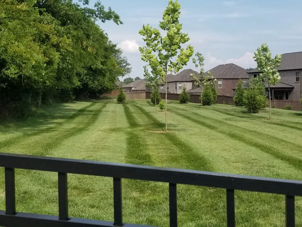 Custom lawn mowing service experts serving Lebanon, TN - GRACE LANDSCAPING