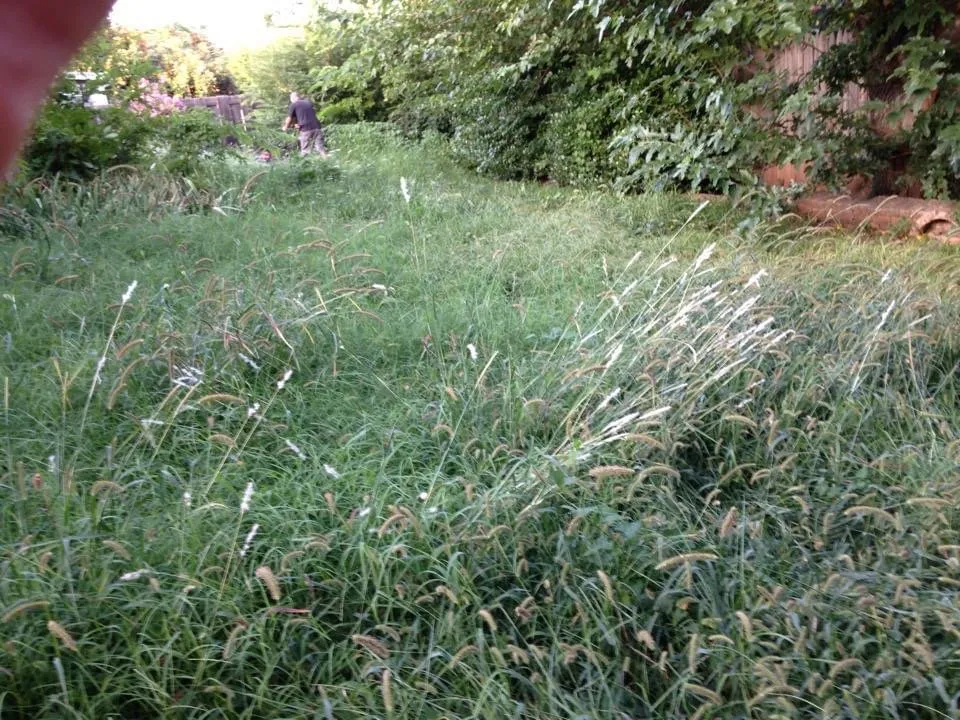 Custom lawn care service near you in Midwest City, OK by Grace Lawn And Landscape