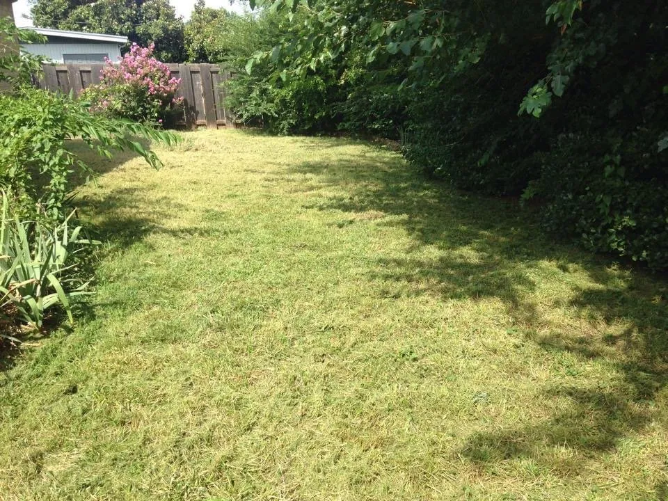 Expert lawn care service for outdoor upgrades across Midwest City, OK - Grace Lawn And Landscape