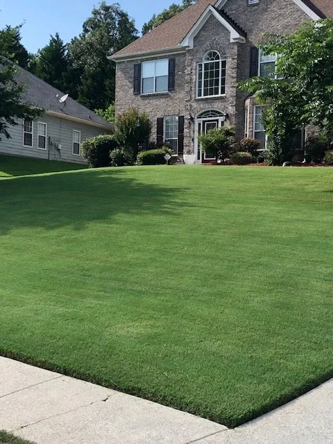 Professional yard cleanup service in Atlanta, GA - Grace Lawn Care