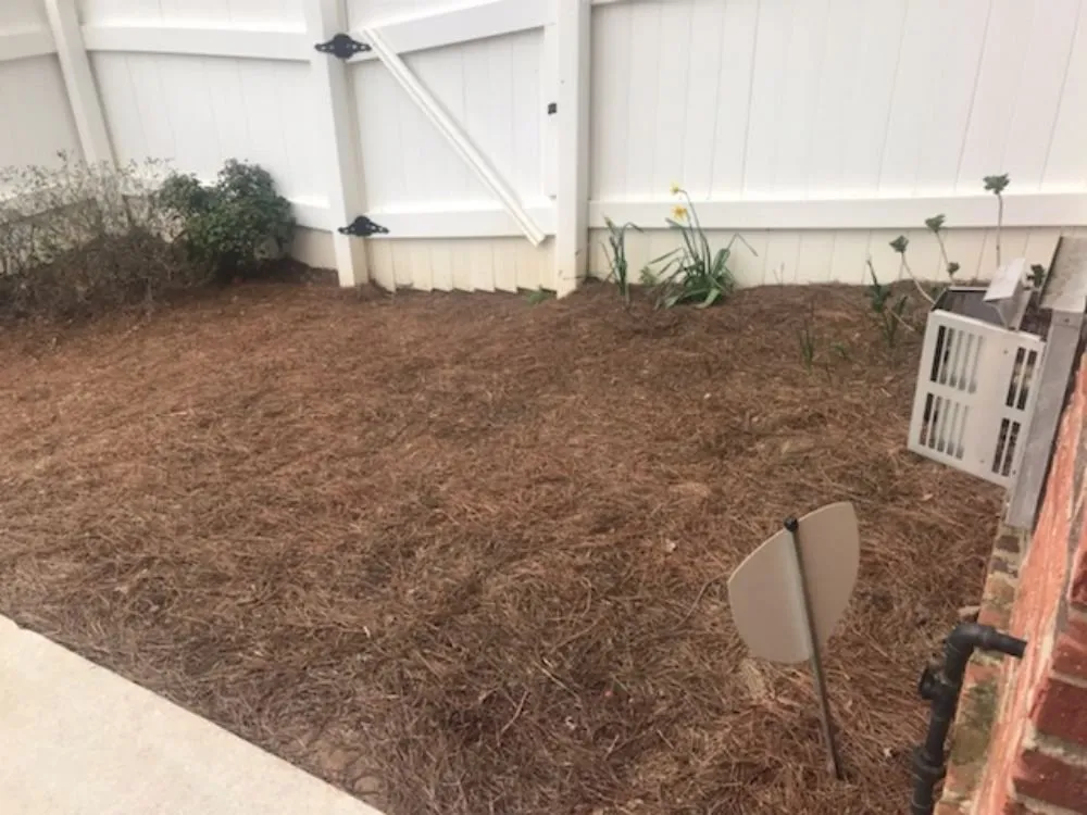 Affordable yard maintenance for homes across Clarkston, GA - Grace Lawn Care Services