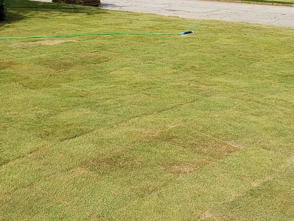 Local landscape design in Clarkston, GA - Grace Lawn Care Services