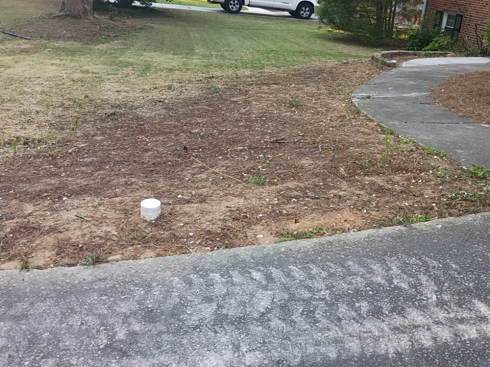 Professional lawn mowing service in Clarkston, GA by Grace Lawn Care Services