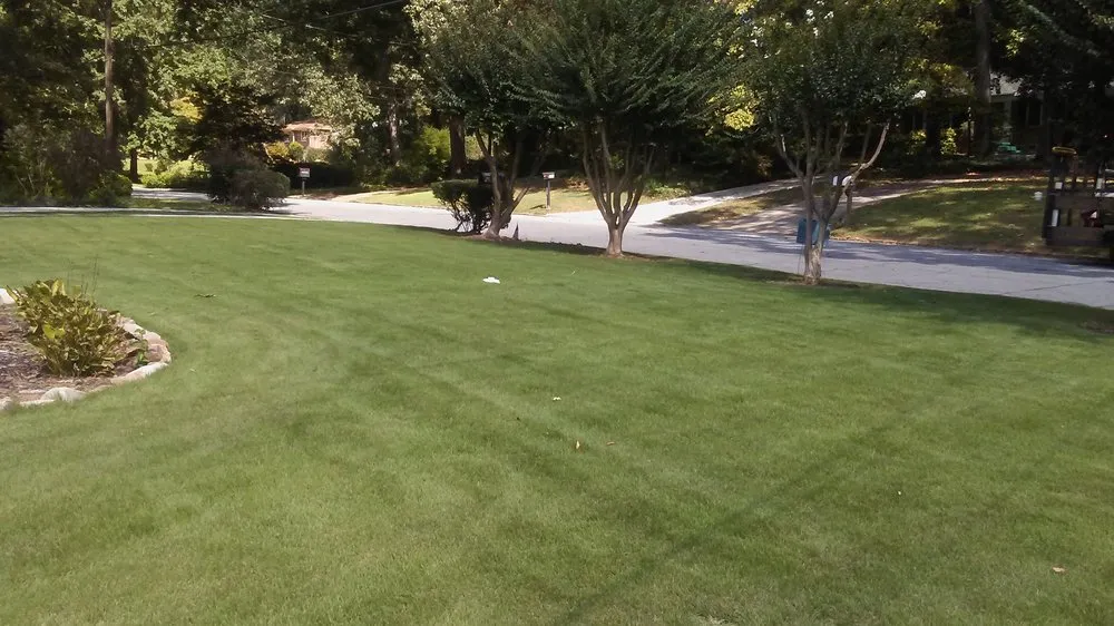 Professional yard cleanup service for beautiful yards in Clarkston, GA by Grace Lawn Care Services