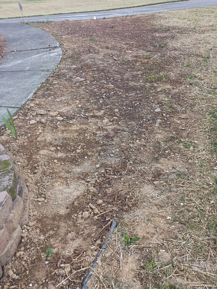 Affordable yard cleanup service experts serving Clarkston, GA - Grace Lawn Care Services