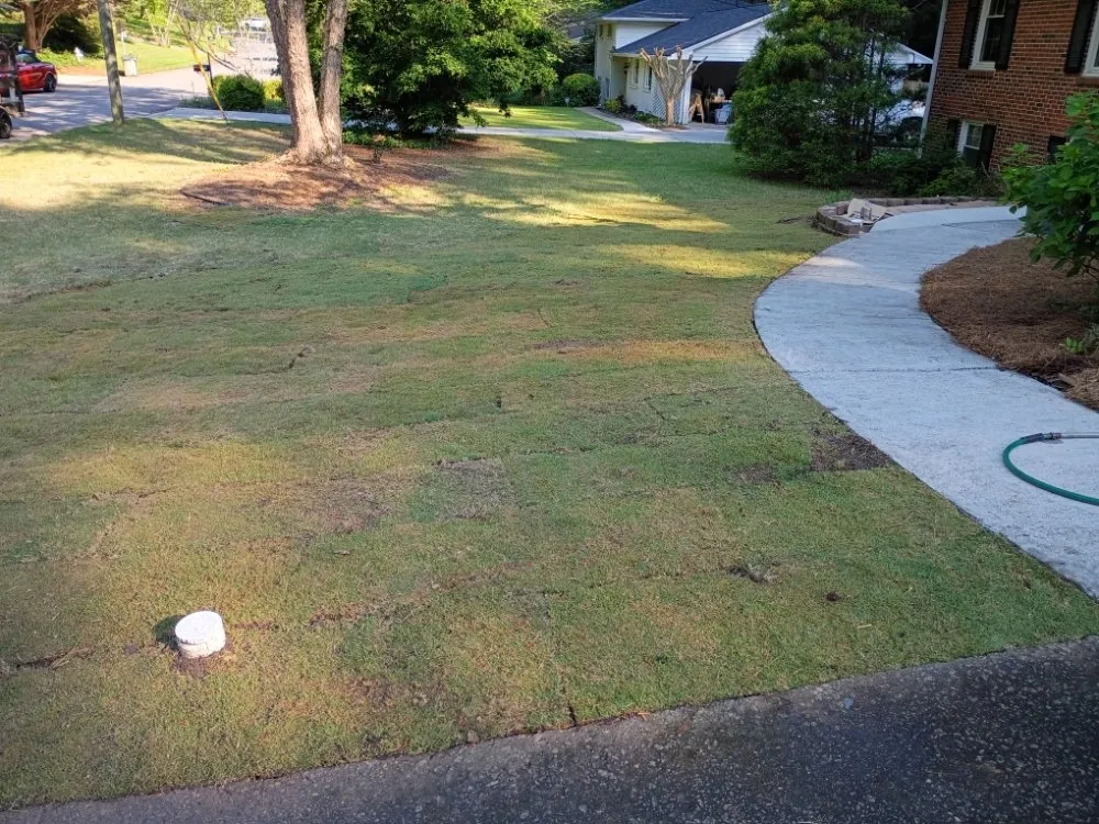 Professional residential landscaping for outdoor upgrades across Clarkston, GA - Grace Lawn Care Services
