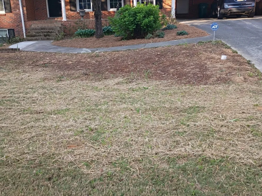 Professional residential landscaping with custom design in Clarkston, GA by Grace Lawn Care Services
