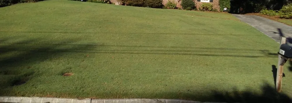 Professional outdoor landscaping in Clarkston, GA by Grace Lawn Care Services