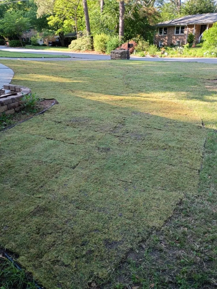 Local landscaping services for homes in Clarkston, GA by Grace Lawn Care Services