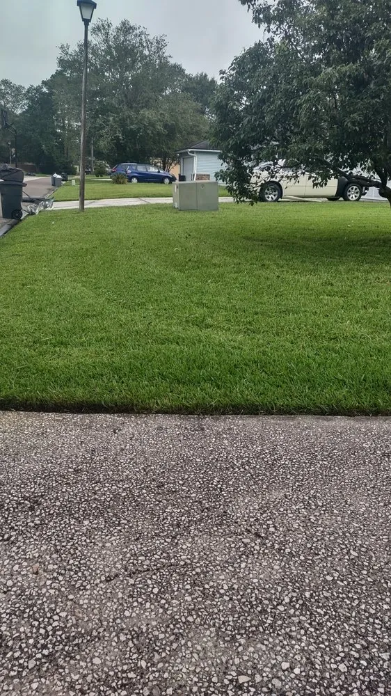 Trusted yard cleanup service for outdoor upgrades across Jacksonville, FL - Grace Lawn Care Services